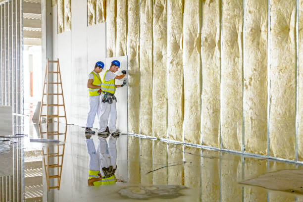 Best Types of Insulation in Mountain View, NC